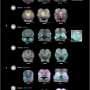 How evolution sculpts the facial shapes of birds and mammals