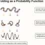 How genetic information helps cells resist chaos and stay alive