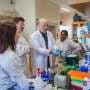 A chemical failsafe can save crops from disease without crushing growth
