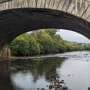 How river DNA can track fish, frogs, fungi and human feces all at once