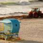 How sargassum affects air quality, beach environments and exposure risks for families