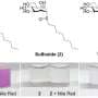 How sulfur oxidation states shape the behavior of sugar-based surfactant molecules