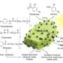 Old bottles and battery acid can drive production of valuable industrial chemicals