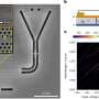 A longstanding quantum roadblock just fell, opening existing fiber networks to ultra-secure light signals