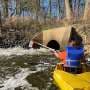 Monitoring reveals elevated antidepressant levels in some waterways