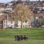 Overseas-owned properties shift from single homes to larger developments