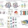 Algorithm visualizes how cells 'talk' to one another across tissue and time