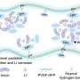 Polymer strategy boosts lithium battery safety and performance by making plasticizers compatible