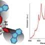Organic luminescent radicals enable bright circularly polarized light in the near-infrared region
