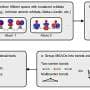 Quantum entanglement provides a new framework for understanding chemical bonding