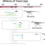 Dinosaurs may have originated 10 million years earlier than fossils show