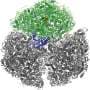 Researchers describe protein structure microbes used to control light conversion