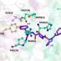Antimalarial drug hunt uncovers enzyme target with potent new inhibitors