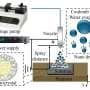 Researchers identify stability range for piezoelectric glycine using nanoconfinement