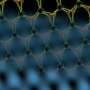 Atomic bands in two transition metal dichalcogenides hint at long-theorized quantum state
