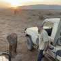 Lost elephant calf reunites with family after researchers track herd across Samburu reserve