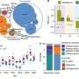 Rising temperatures could be driving up antibiotic resistance in soil, 11-year study finds