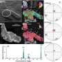 Scientists discover a 3.5-billion-year-old asteroid impact on the moon