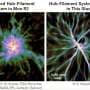 Shock waves show how baby stars' cradles get their radial shape in 3D simulations