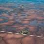 Flooded fields across Midwest spur push for farm-tested solutions