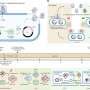 Speed 'training' prepares bacteria for complex tasks, like munching plastics