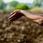Soil science: How AI could help scientists secure a vital global resource