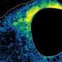 AI sorts cell droplets into four shapes, uncovering drug effects in human cells