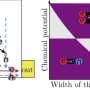 Topological states emerge in quantum Hall-superconductor devices with multiple channels