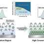 Electric double layer unlocks molecular switch behind battery and hydrogen reactions