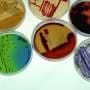 Ten years on, the Nagoya Protocol on sharing genetic resources is still confusing scientists—guidance now available
