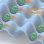 The generation of massive Schrödinger cat states using ultracold atoms