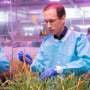 Tiny DNA fragments, big agricultural insights: New genomic approach helps improve crop resilience