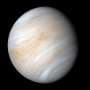 Venus' strange rotation was likely triggered by a high-velocity, moon-sized impactor