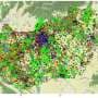 Who reports wildlife the most? 300,000 citizen science records uncover participation bias