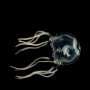 Why jellyfish can't rise to the surface