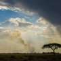 New tectonic plate boundary could be forming in Zambia, scientists say
