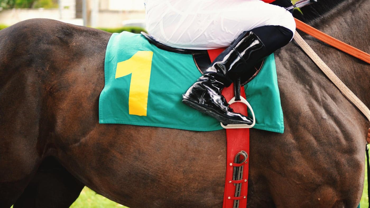 
                        FanDuel Racing promo code: Get $50 racing bonus after first $10 wager on horse racing
                    