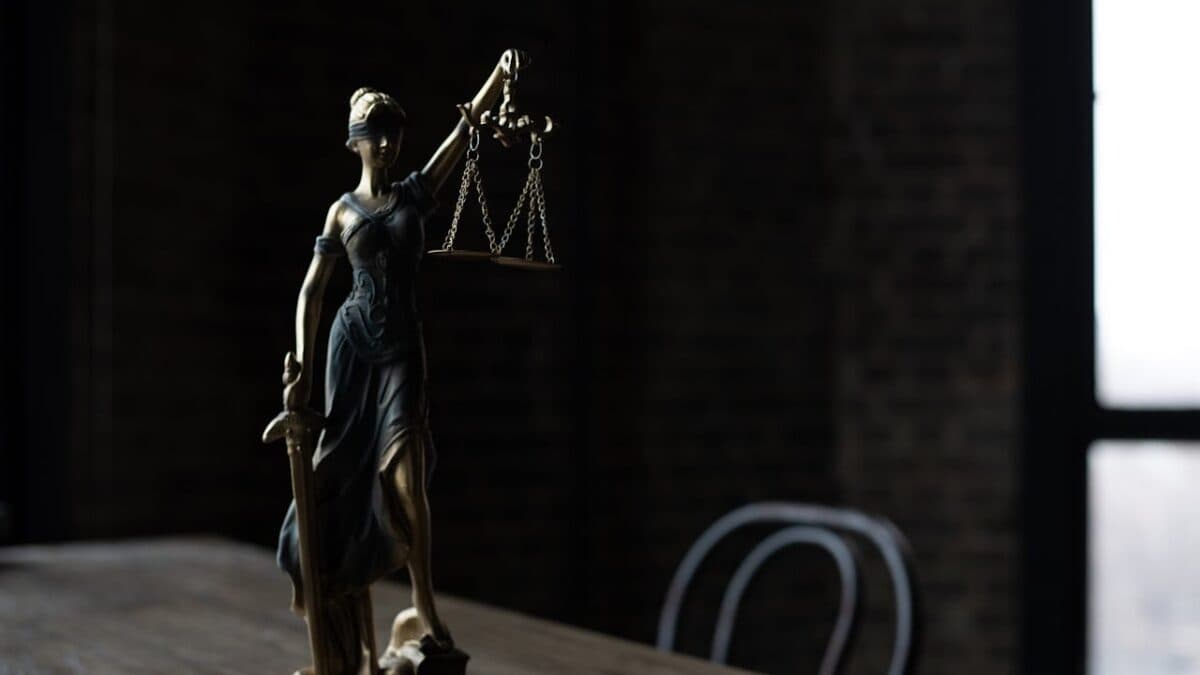 Meet The Left-Wing Activists Behind The Guide Meant To Advise Judges On ‘Climate Science’