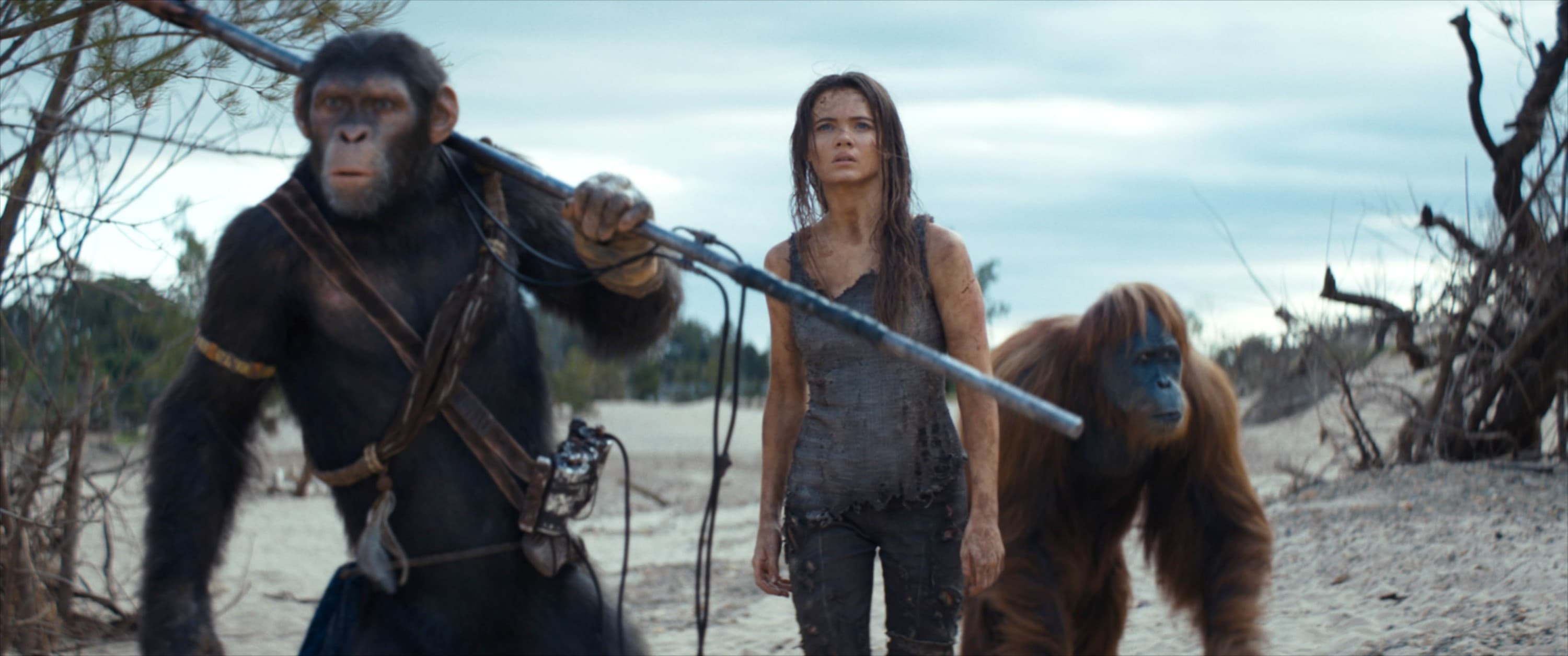 New ‘Planet of the Apes’ Movie in the Works With ‘Fantastic Four: First Steps’ Director