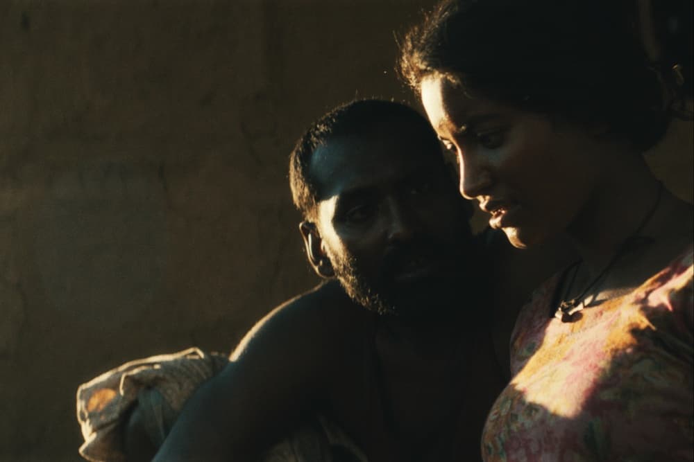 Rotterdam Title ‘Roid’ Sold to Australia and New Zealand as Screenxcope, DeshiEvents Plan June Bow (EXCLUSIVE)