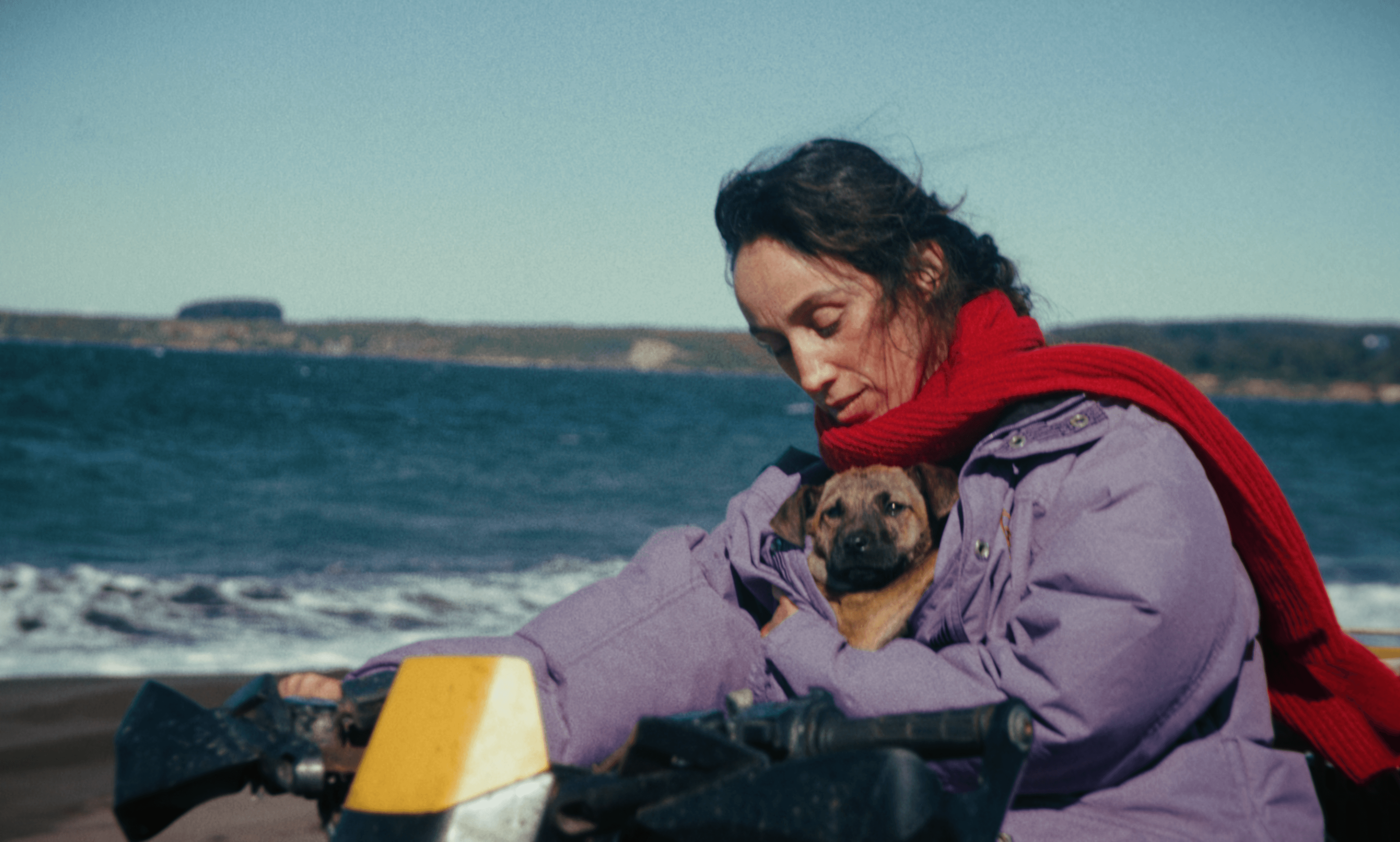 Cannes’ Directors’ Fortnight Movie ‘La Perra’ From ‘I’m Still Here’ Producer Boarded by Lucky Number (EXCLUSIVE)