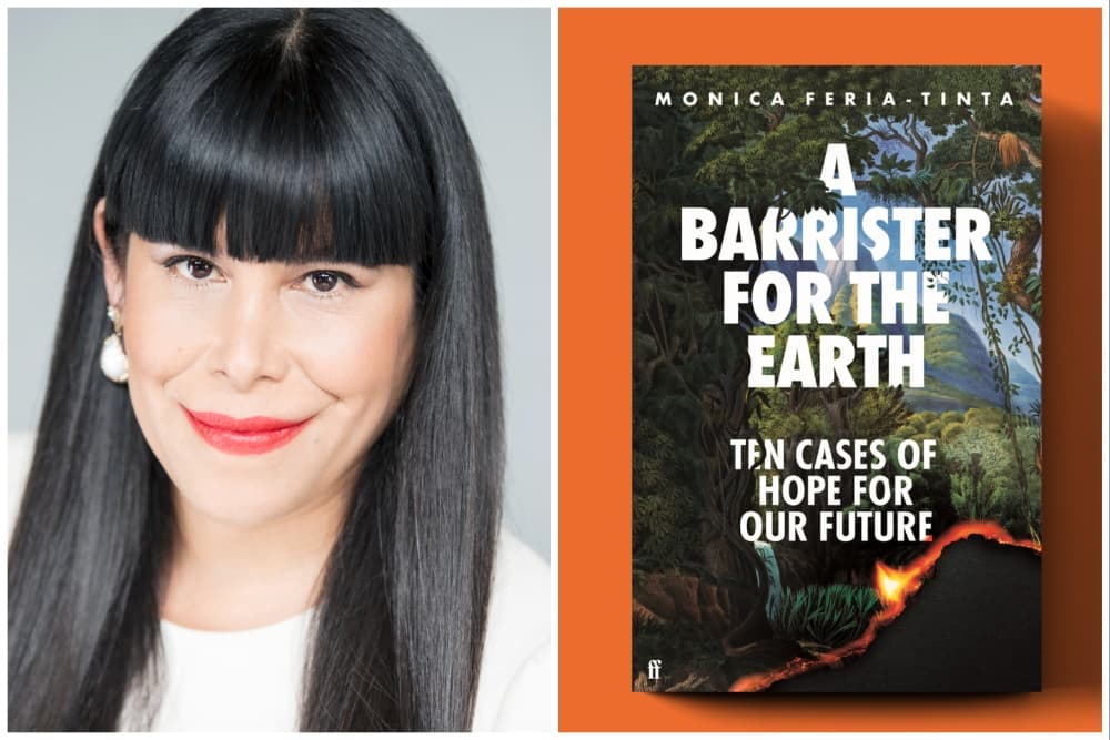‘Alex Rider’ Producer Eleventh Hour Developing Legal Drama With Victoria Asare-Archer Inspired by Eco-Lawyer’s Book ‘A Barrister for the Earth’ (EXCLUSIVE)