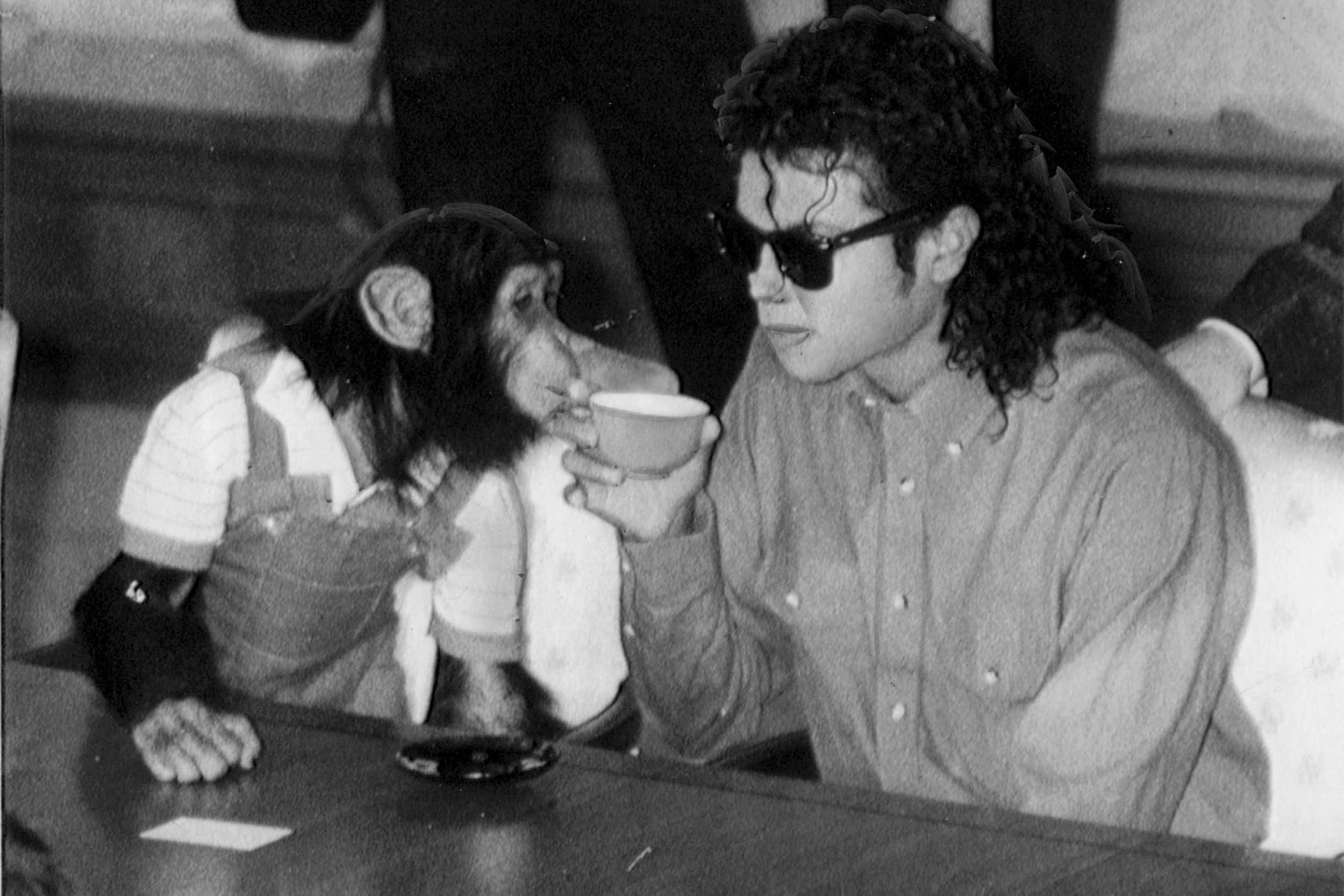 Where is Michael Jackson’s Chimpanzee Bubbles Now? Inside His ‘Peaceful’ Life and Why Filmmakers Used a CGI Chimp in ‘Michael’ 