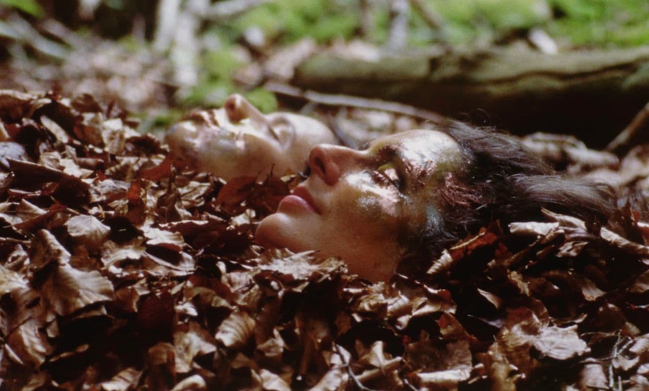 Mecas 2026 Returns to Las Palmas With 14 Projects and a More Targeted Selection