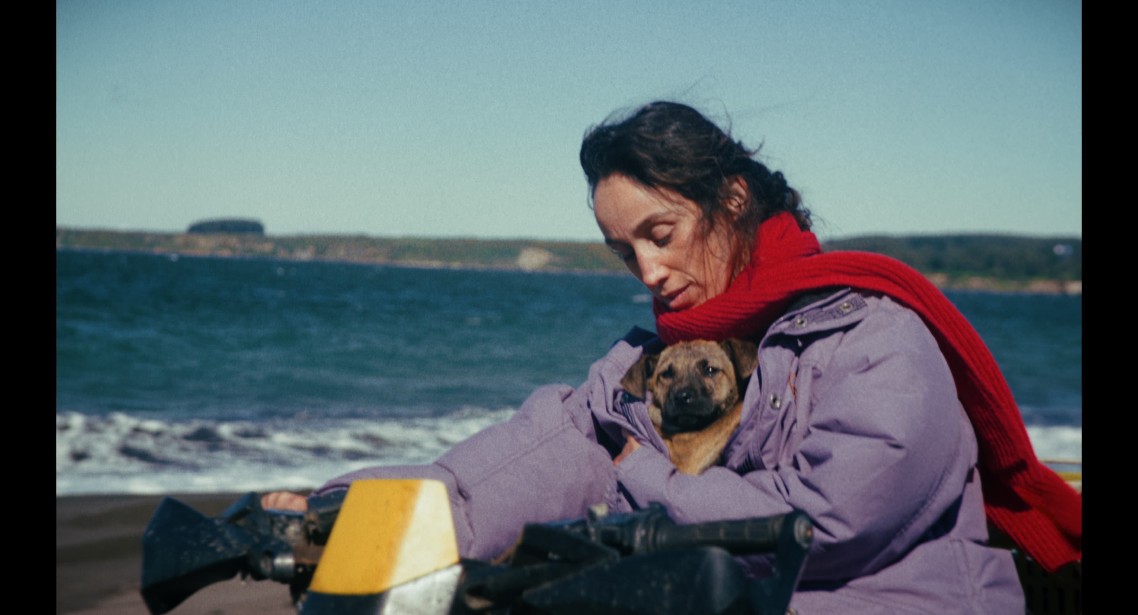 ‘La Perra’ Review: Dominga Sotomayor Shores Up Her Reputation With an Elegant, Unsentimental Story of Trauma and Healing