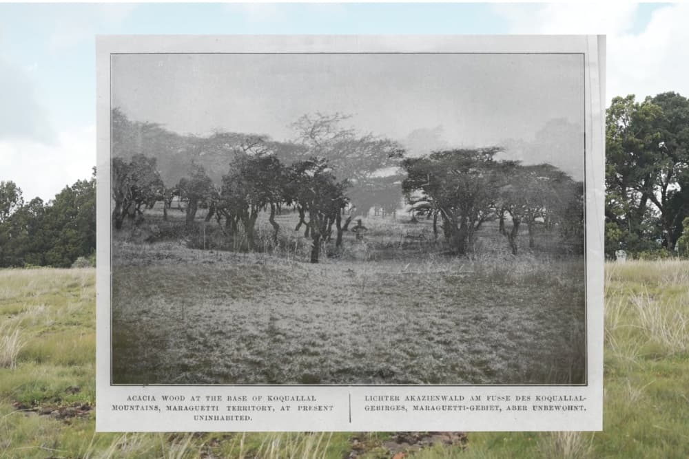 ‘Uganda,’ ‘Job 1:21,’ ‘Trade’ Among Winners at Visions du Réel Industry Awards