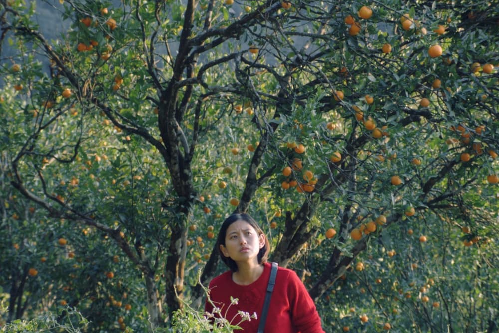 Rana Daggubati’s Spirit Media Sets Indian Theatrical Release for ‘Shape of Momo’ as Payal Kapadia, Zoya Akhtar and Reema Kagti Board Tribeny Rai’s Busan Winner (EXCLUSIVE)