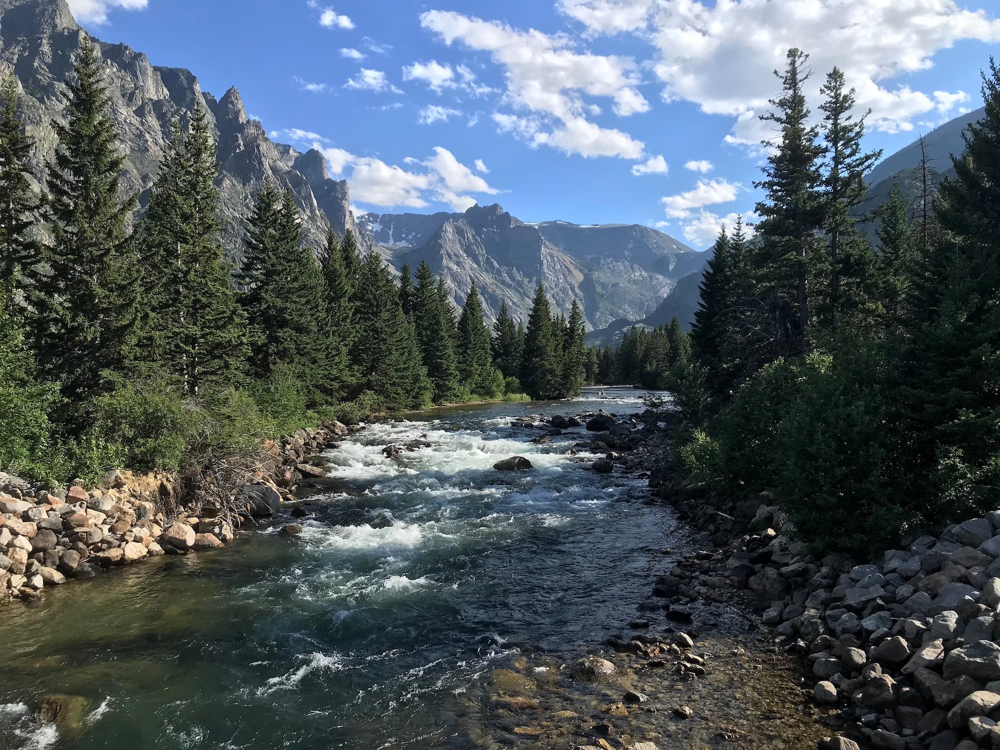 Trump’s Forest Service Upheaval Sows Confusion and Concern