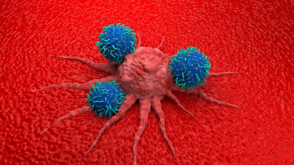 STAT+: The latest biotech news: RevMed, Roche, Kyverna CAR-T therapy