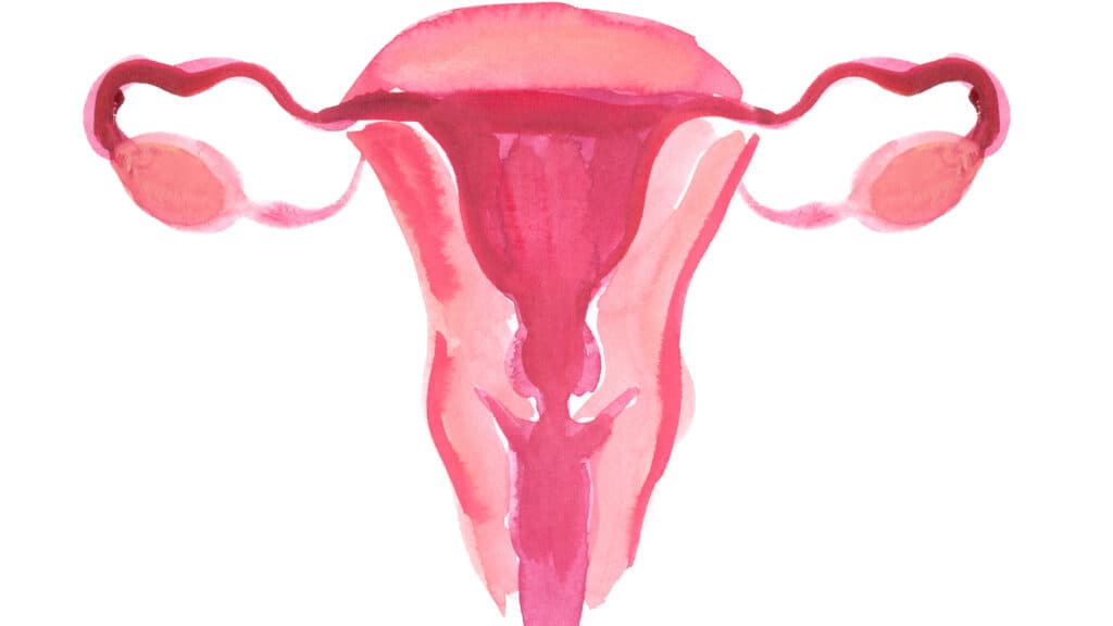 The connection between periods and mental health